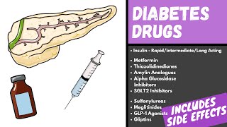 Diabetes Medication Explained  Diabetes Drugs Mechanism Side Effects and Classification [upl. by Aynas]