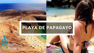 Playa de Papagayo  Lanzarote  4k Drone [upl. by Pansy]