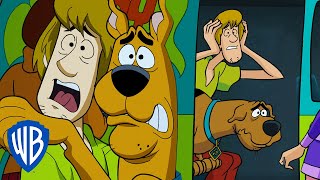 ScoobyDoo  Scooby amp Shaggys SCAREDY CAT Moments 🙀  WB Kids [upl. by Nevek]