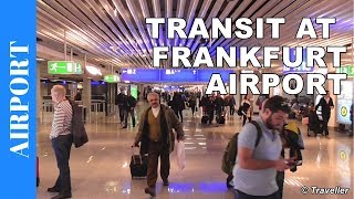 TRANSIT WALK AT FRANKFURT Airport FRA Terminal 1  Connection Flight Transfer Arriving amp Departing [upl. by Karissa]