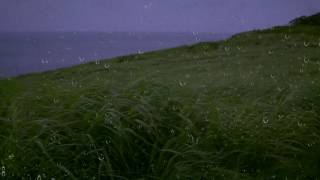 Rain amp Wind Sounds for Sleep amp Relaxation w Distant Thunder amp Ocean Waves  Relaxing White Noise [upl. by Seaden]