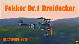 Fokker Dr1 Dreidecker  Mikael Carlson  Hahnweide 2019 [upl. by Annehsat]