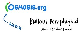 Bullous Pemphigoid Osmosis Study Video [upl. by Hoem]