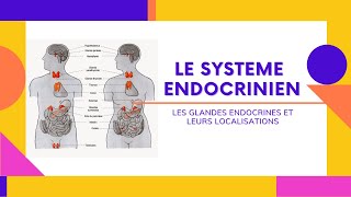 LE SYSTEME ENDOCRINIEN PART I [upl. by Tannie]