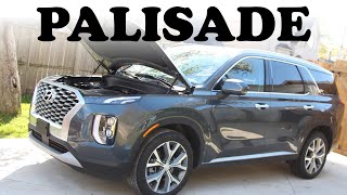 Hyundai Palisade Mechanical Review [upl. by Notsrik]